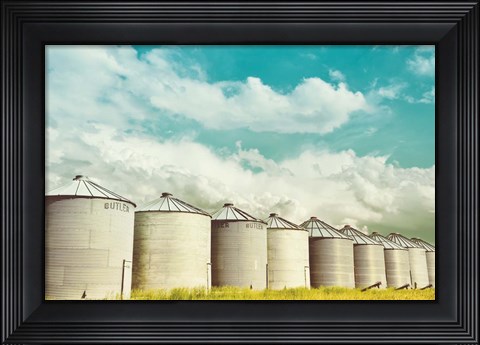 Framed All in a Row Print