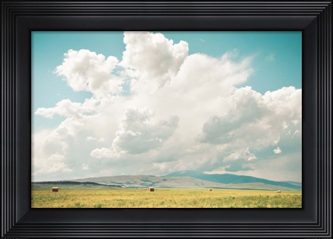 Framed First Cut Print