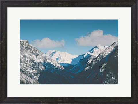 Framed Gaining Altitude Print