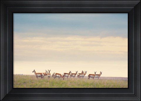 Framed Strength in Numbers Print