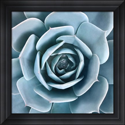 Framed After the Rain Print