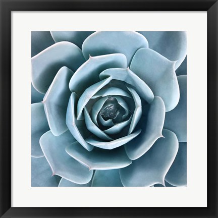 Framed After the Rain Print