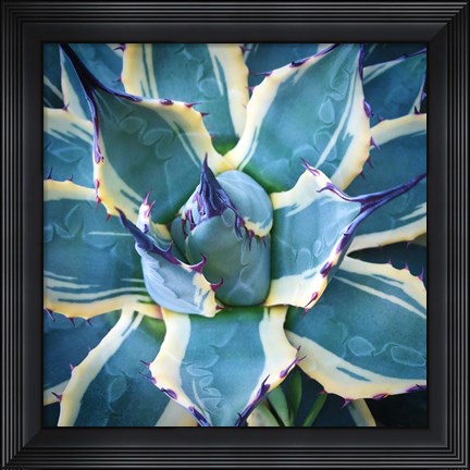 Framed Elegant Thorns Print