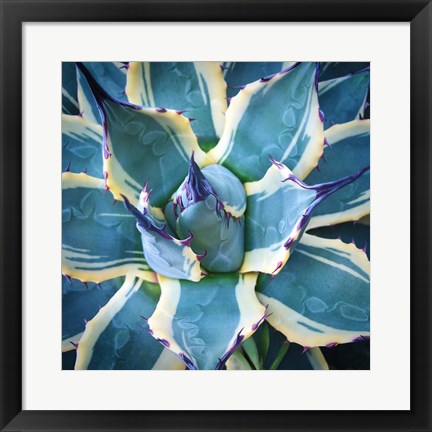 Framed Elegant Thorns Print