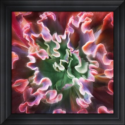 Framed Rippled Edges Print