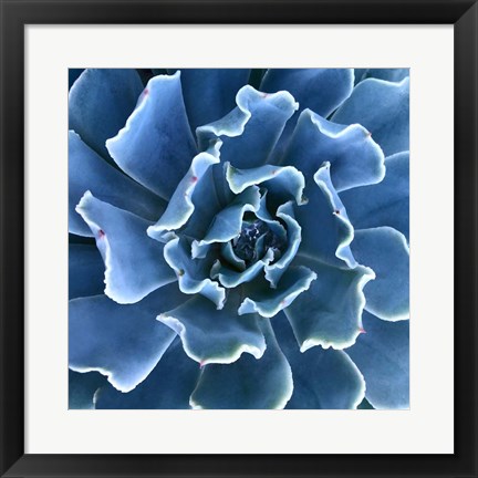 Framed Ruffled Edges Print