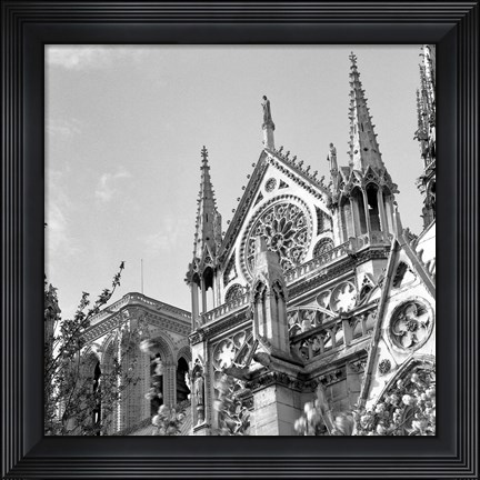 Framed Shining Star of Paris - Notre Dame Print