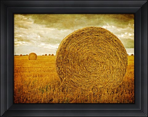 Framed Prince Edward Island Print