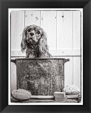 Framed Vintage Puppy Bath Print