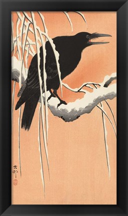 Framed Crow on a Snowy Bough, 1900-1930 Print