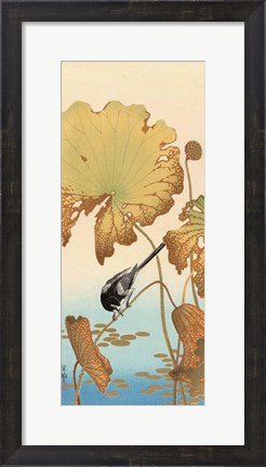 Framed Japanese Wagtail on Lotus Plant, 1925-1936 Print