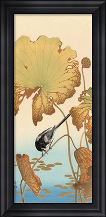 Framed Japanese Wagtail on Lotus Plant, 1925-1936 Print