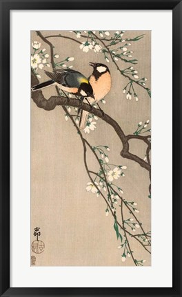Framed Songbirds on Cherry Branch, 1900-1910 Print