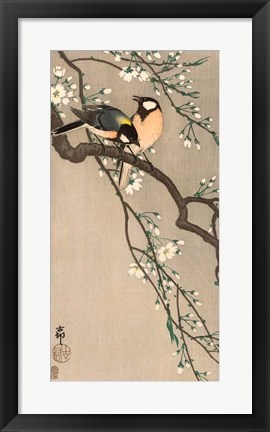 Framed Songbirds on Cherry Branch, 1900-1910 Print