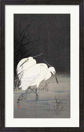 Framed Two Egrets in the Reeds, 1900-1930 Print