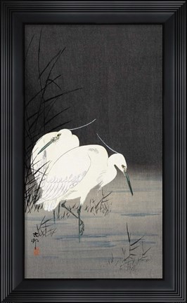 Framed Two Egrets in the Reeds, 1900-1930 Print
