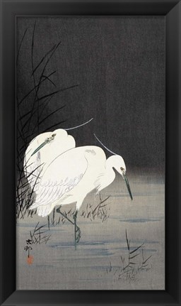 Framed Two Egrets in the Reeds, 1900-1930 Print