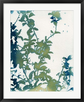 Framed Shadow Floral Print