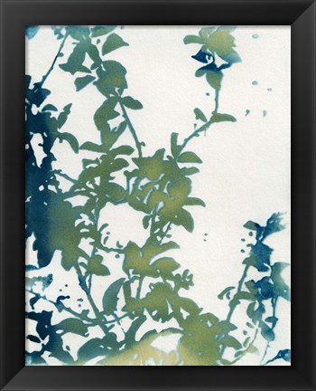 Framed Shadow Floral Print