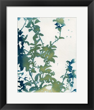 Framed Shadow Floral Print