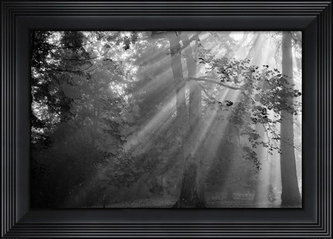 Framed In a Haze Print
