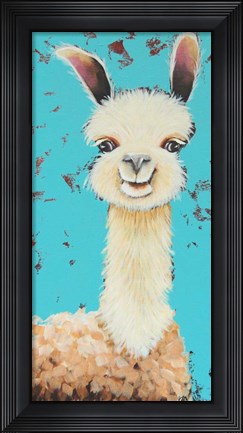 Framed Llama Sue Print