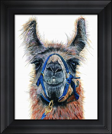 Framed Dalai Llama Print
