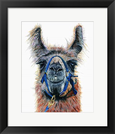 Framed Dalai Llama Print