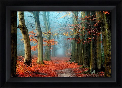 Framed Bussum in Fall Print
