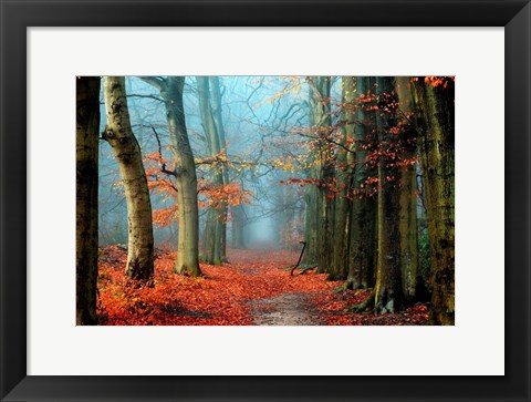 Framed Bussum in Fall Print