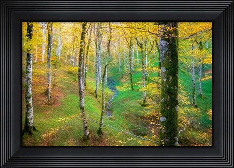 Framed Dream of Birches Print
