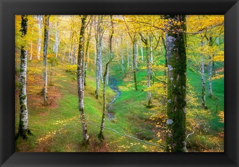 Framed Dream of Birches Print