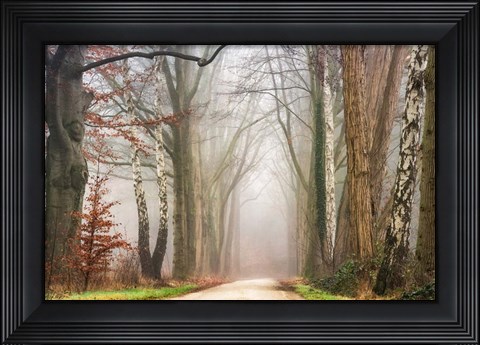 Framed Misty Print