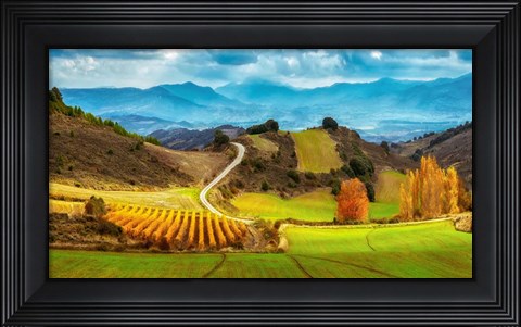 Framed Navarra Print