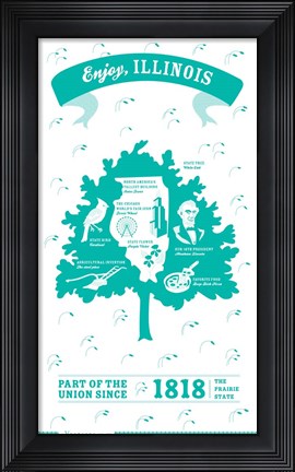Framed Illinois Print