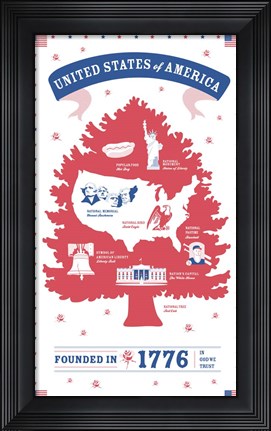 Framed USA Print