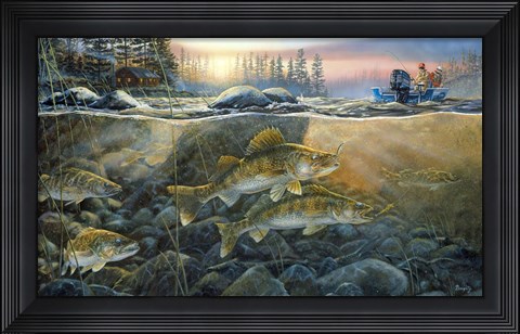 Framed Walleyes On The Rocks Print