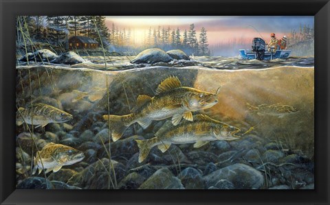 Framed Walleyes On The Rocks Print