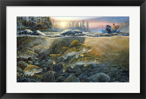 Framed Walleyes On The Rocks Print