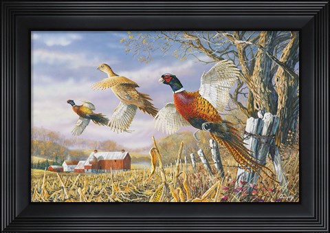 Framed High Field Flush Print