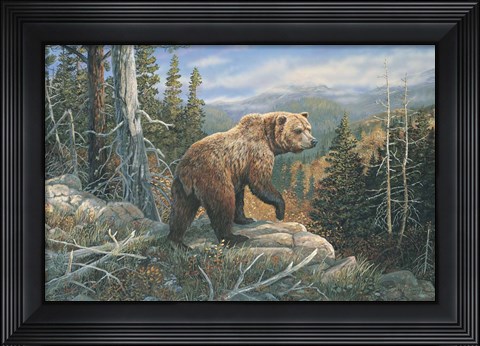 Framed Grizzlies Domain Print