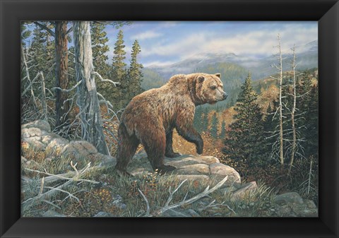 Framed Grizzlies Domain Print