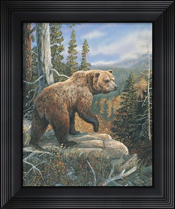 Framed Grizzlies Domain 2 Print