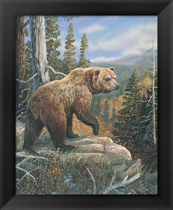 Framed Grizzlies Domain 2 Print