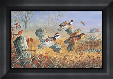 Framed Back Forty Flush Print