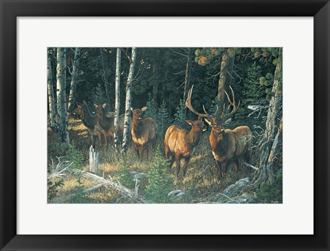 Framed Wilderness Whispers Print