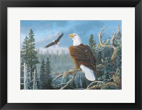 Framed Majestic Pair Print