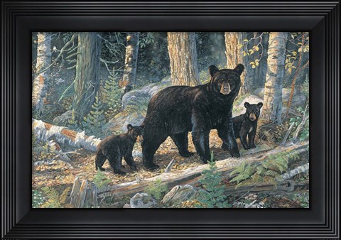 Framed Woodland Lessons Print