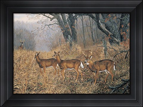 Framed New Arrival Print