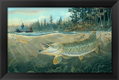 Framed Muskie Bay Print